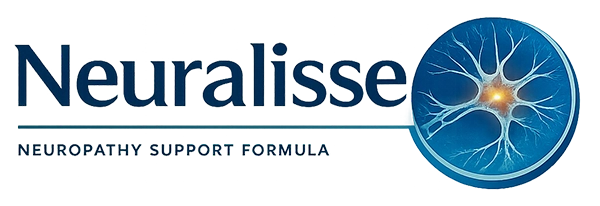 The Neuralisse wordmark